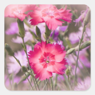 Frühlingsfloral Quadratischer Aufkleber
