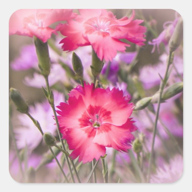 Frühlingsfloral Quadratischer Aufkleber (Vorderseite)