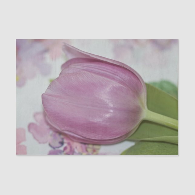 Frühlingsflorale Tulip und Hydrangea-Blume Seidenpapier (Vorderseite)