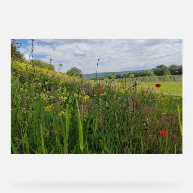 Frühlingsfotografie Acrylschild (Vorderseite)