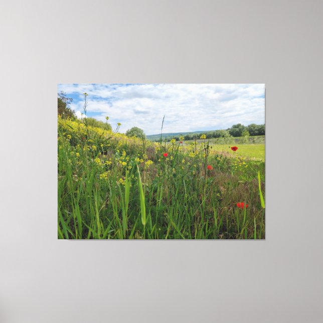 Frühlingsfotografie Leinwanddruck (Vorderseite)