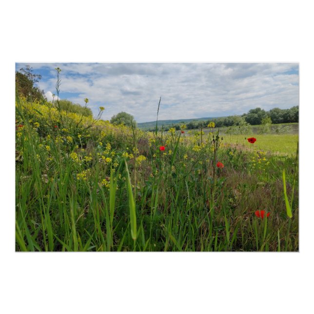 Frühlingsfotografie Poster (Vorderseite)