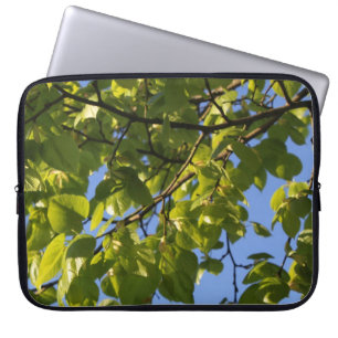 Frühlingsgrüne Baumblätter am blauen Himmel. Laptopschutzhülle