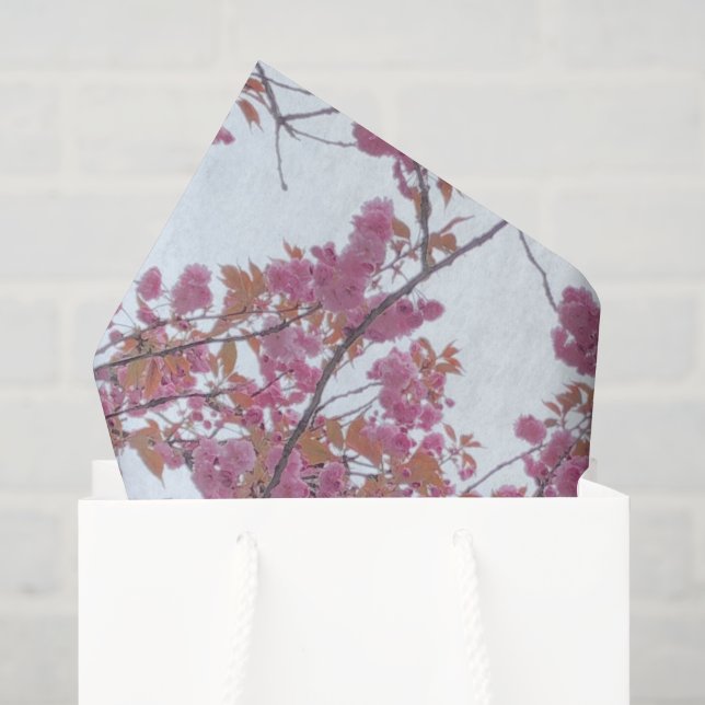 Frühlingshai Blühen Blauer Himmel Hanami Seidenpapier (Geschenktüte)