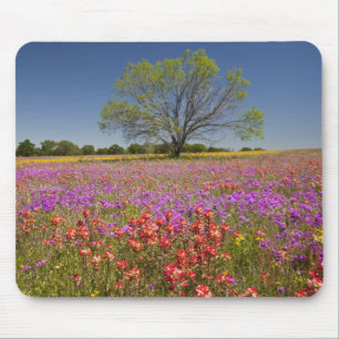 Frühlingshammen, die in Wildblumen wachsen, Mousepad