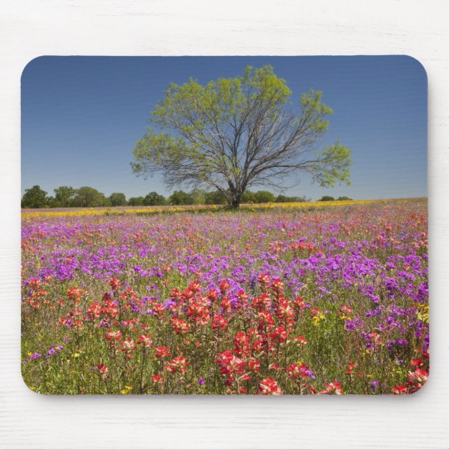 Frühlingshammen, die in Wildblumen wachsen, Mousepad (Vorne)