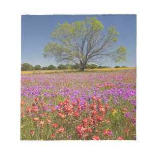 Frühlingshammen, die in Wildblumen wachsen, Notizblock