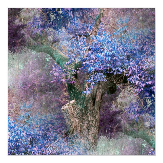 Frühlingshasen... Poster (Vorderseite)