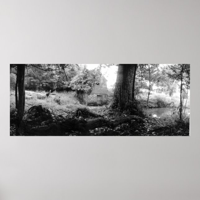 Frühlingshaus, Irving Uni Tennessee Poster (Vorne)