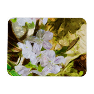 Frühlingshauty eine Wildblume Abstrakt Impressioni Magnet