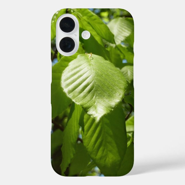 Frühlingshbse Verlasse Grünbäume Case-Mate iPhone Hülle (Rückseite)