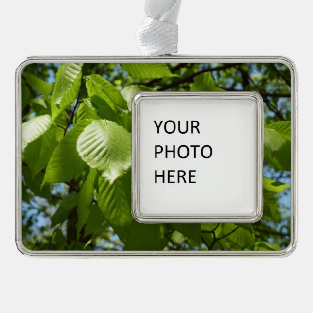 Frühlingshbse Verlasse Grünbäume Rahmen-Ornament Silber (Vorderseite)