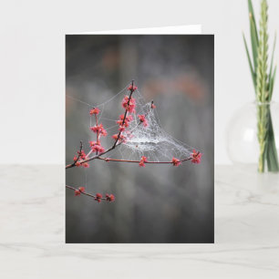 Frühlingshefte, Karte