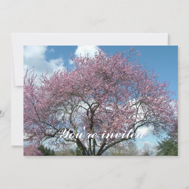 Frühlingshirschblüte Einladung (Vorderseite)