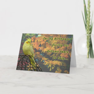 Frühlingshühner Karte