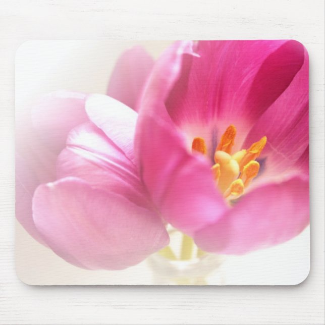 Frühlingshuppe Mousepad (Vorne)