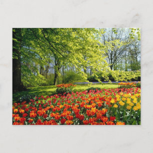 Frühlingshuppen Postkarte