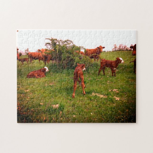 Frühlingskälchen Puzzle (Horizontal)