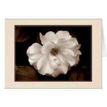 "Frühlingskarte (Sepia)" Grußkarte