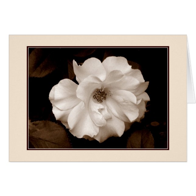 "Frühlingskarte (Sepia)" Grußkarte (Vorderseite (Horizontal))