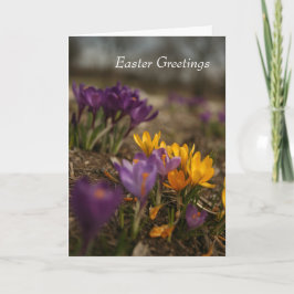 Frühlingskratzer geklappt Ostergrußkarte Karte