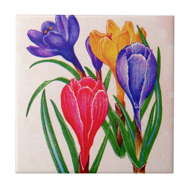Frühlingskrone Fliese (Vorderseite)