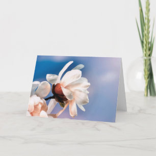 Frühlingsmagnolienblüte Karte