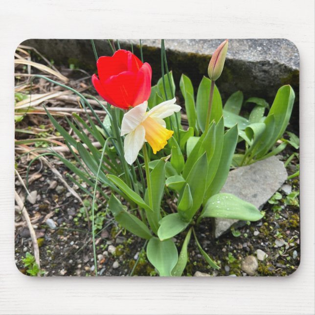 Frühlingsmäuse Mousepad (Vorne)