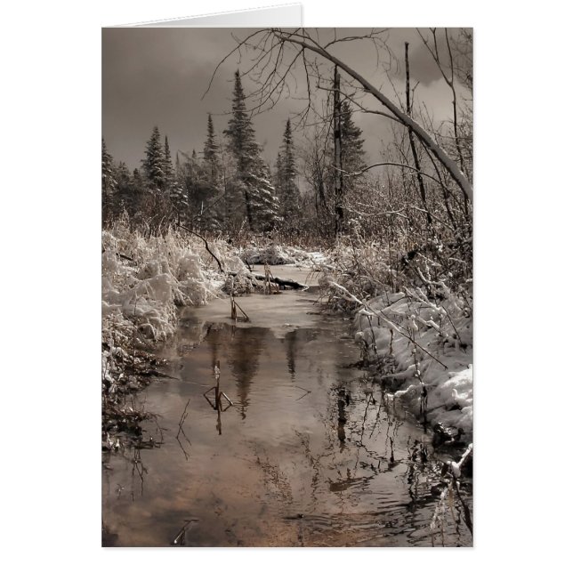 Frühlingsmorgen (Vorne)