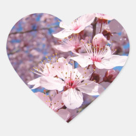 Frühlingspink Bäume Blossom Blume Aufkleber Siegel