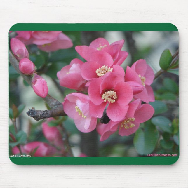 Frühlingspink blühende Ruhe Mousepad (Vorne)