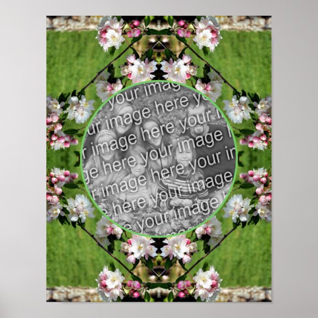 Frühlingspink und weiß Blüten ergänzen Ihr eigenes Poster (Vorne)