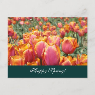 Frühlingspostkarten Bunte Tulpenblume Postkarte
