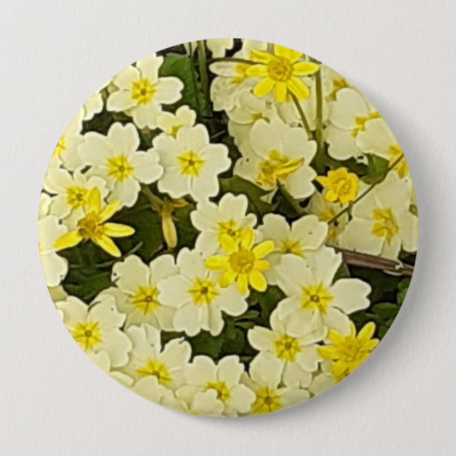 Frühlingsprirosen Button (Vorderseite)