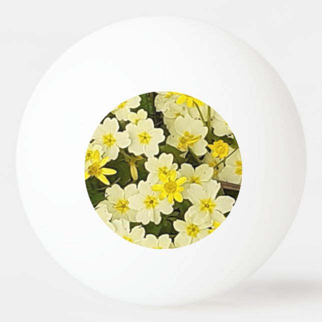 Frühlingsprirosen Tischtennisball (Vorderseite)