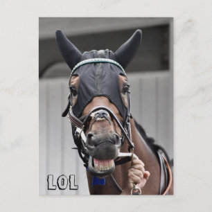 Frühlingsqualität Postkarte