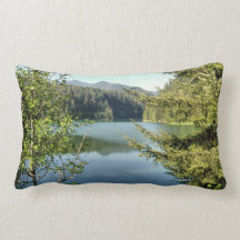 Frühlingsreflektionen