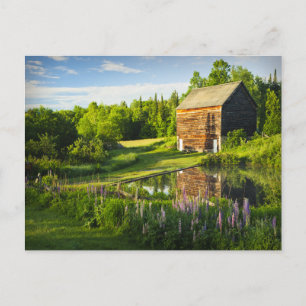 Frühlingsreflexionen in den Adirondacks, N.Y. Postkarte