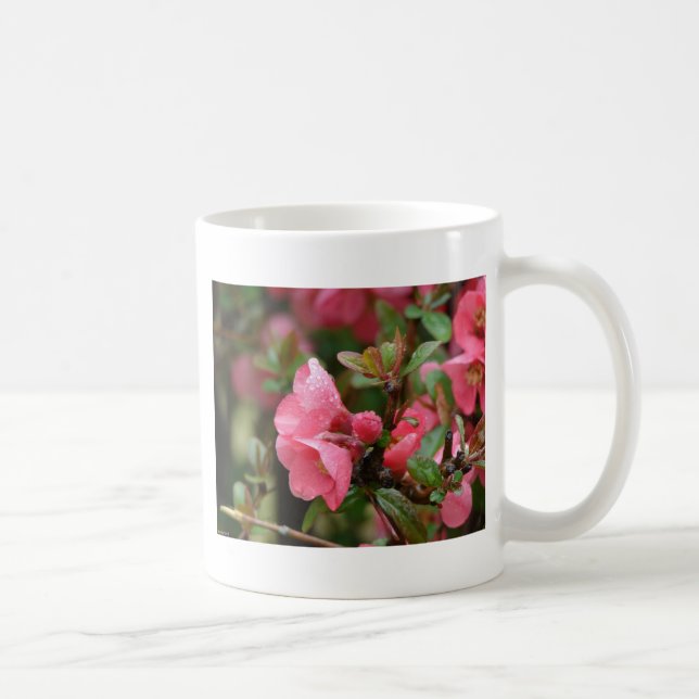 Frühlingsrosa blühende Ruhe Tasse (Rechts)