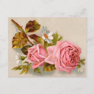 Frühlingsrosen Vintage-Postkarte Postkarte