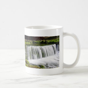 Frühlingsrückgänge bei Hodgson Coffee Tasse