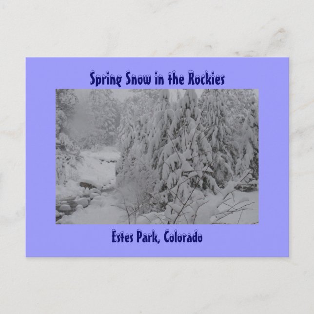 Frühlingsschnee in der Rockies Postkarte (Vorderseite)