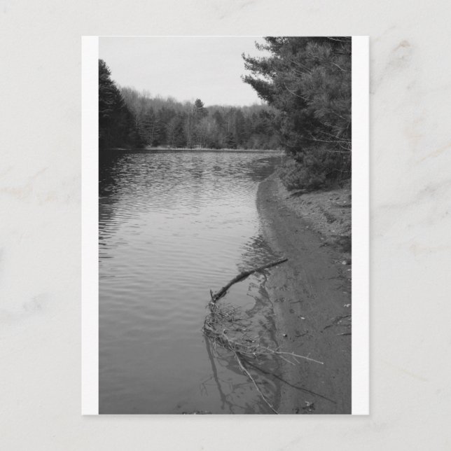 Frühlingssee Postkarte (Vorderseite)