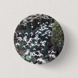 Frühlingssnowdrops-Abzeichen Button