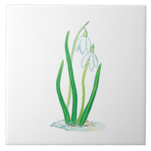Frühlingssnowdrops Fliese