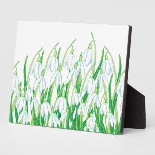 Frühlingssnowdrops Fotoplatte
