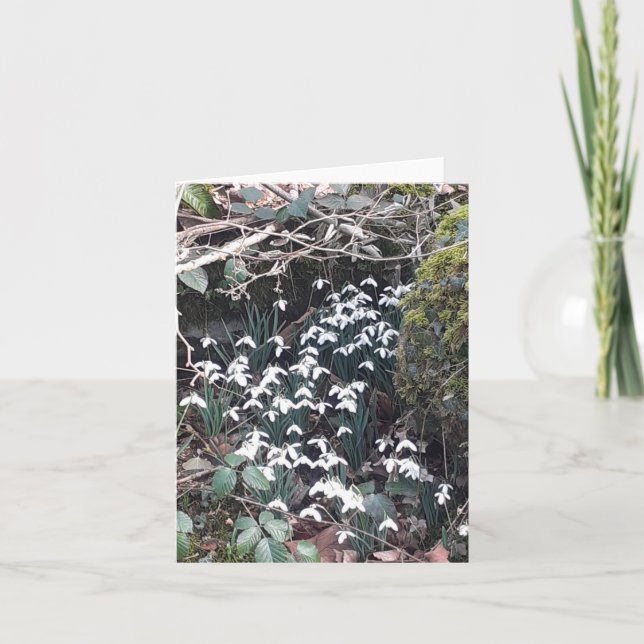 Frühlingssnowdrops Karte (Vorderseite)