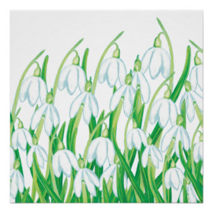 Frühlingssnowdrops Poster