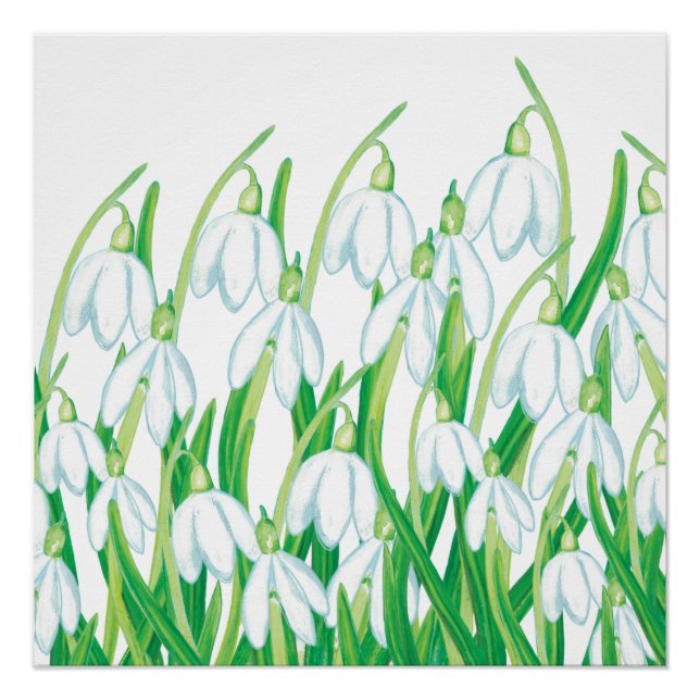 Frühlingssnowdrops Poster (Vorderseite)
