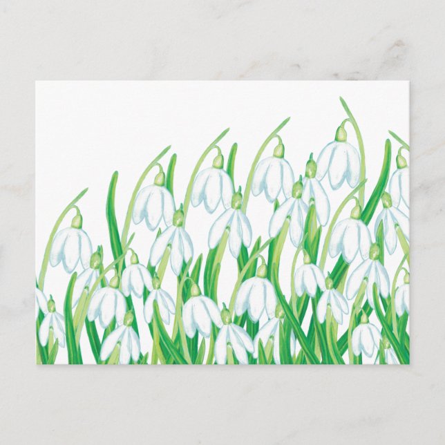 Frühlingssnowdrops Postkarte (Vorderseite)